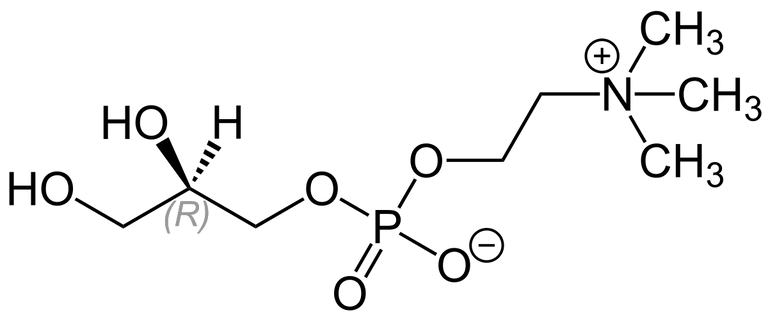 Alpha-GPC